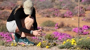 Karoo Farm Life